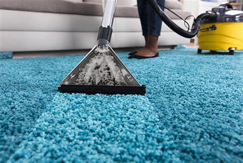 Why Every Home Needs a Magic Carpet Cleaner